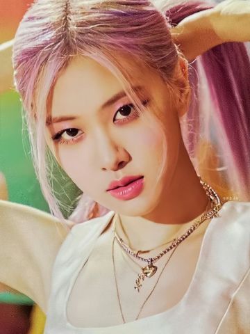 五周年PB 肉 Ver.B