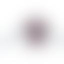 巨无霸忙博