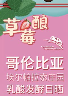 哥伦比亚埃尔帕拉索庄园乳酸发酵日晒