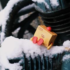 被遗忘的第4天-资料图