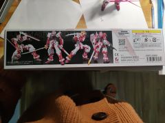RG MBF-P02 红色异端高达-资料图