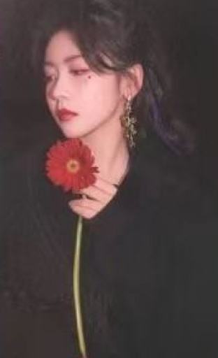 普板随机专卡 ver.D