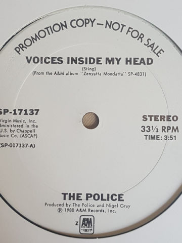 Voices Inside My Head