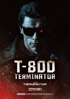 T-800 DX version-资料图