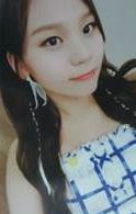 专卡 智 ver.A