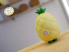 Pineapple nora-资料图