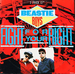Fight For Your Right