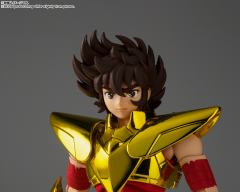 圣斗士圣衣神话EX 天马座星矢（最终青铜圣衣）~金色限定版~-资料图