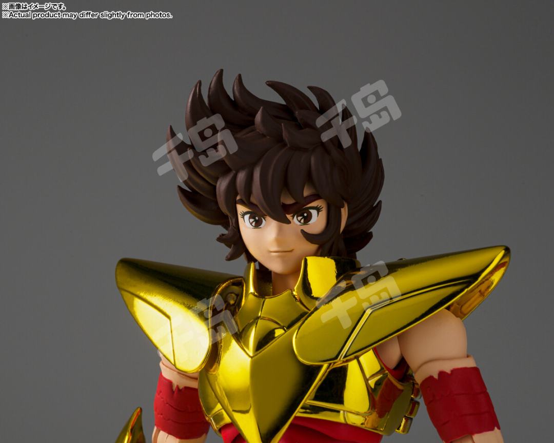 圣斗士圣衣神话EX 天马座星矢（最终青铜圣衣）~金色限定版~ | 圣斗士