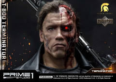 T-800 DX version-资料图