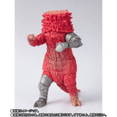 SHF 庞顿-资料图