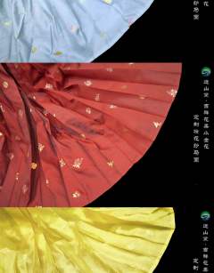 吉祥花果小金花·马面裙-资料图