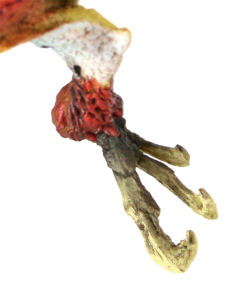 Capcom Figure Builder Standard Model Monster Hunter Vol.7 奇猿狐-资料图