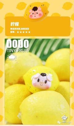 tiny fruit系列-资料图