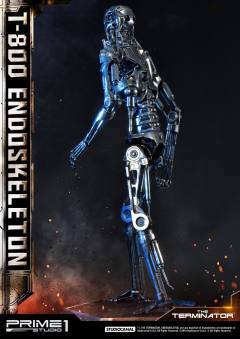 T-800 -资料图