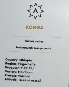 konga