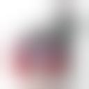 蝶野攻爵