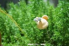 蜜蜂少年-资料图