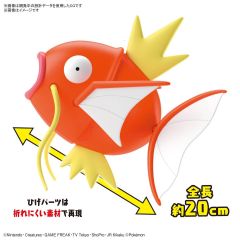 宝可梦拼装 特选系列 BIG 01 鲤鱼王-资料图