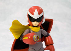 Character Plastic Model 布鲁斯-资料图