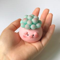 大眼多肉猪-资料图