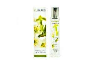 Marks and Spencer Lime Blossom and Bergamot