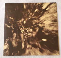 The Best Songs from Bayou Country