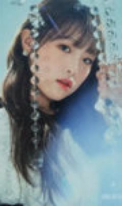 电子专专卡4 ver.B