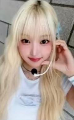 iminitv签售3.0 soha