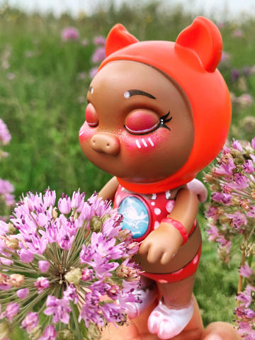 猪小朵儿-吹海风