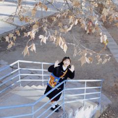 发财虎毛线针织挎包-资料图