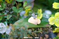 蜜蜂少年-资料图