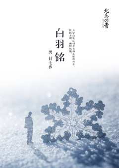 北岛的雪-资料图