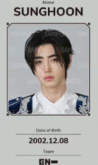 fate plus日巡ID卡4