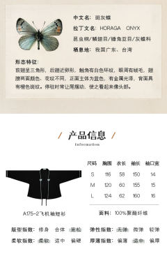 斑灰蝶-资料图