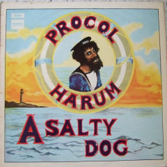 A Salty Dog
