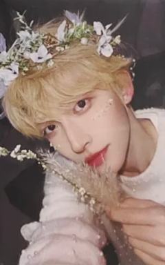 24超订春季合肥演唱会特典