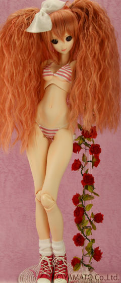 Girl*Holic VMF50-资料图