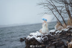 和平之春 Ver Placidum Mille fleur-资料图