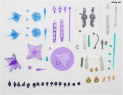 女神装置 A2 兼志谷星-资料图