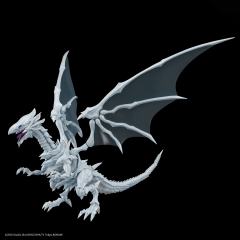FRS Amplified 青眼白龙-资料图