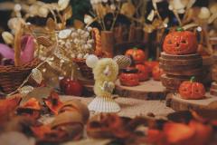 万圣节限定款-园艺师-资料图