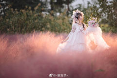和平之春 Ver Placidum Mille fleur-资料图