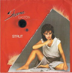 Strut