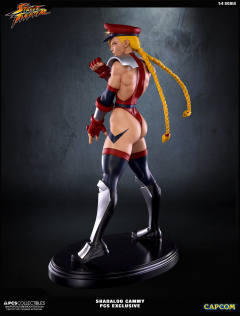 Mixed Media 嘉米·怀特 Shadaloo Cammy-资料图