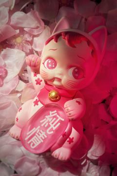 招纯情樱花猫-资料图