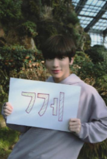 crown ver.E