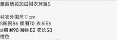 蔷薇绣花加绒衬衣-资料图