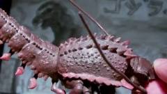 Ultimate Godzilla Collection Hyper Figure 伊比拉 -资料图