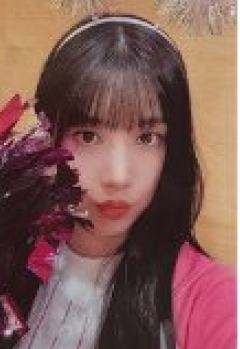 ms4.0 ver.E